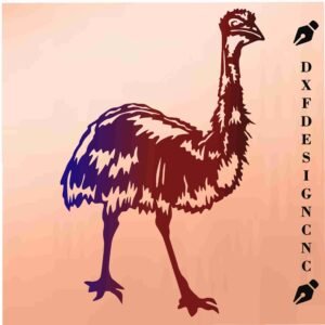 Australian Emu Bird Vector Design